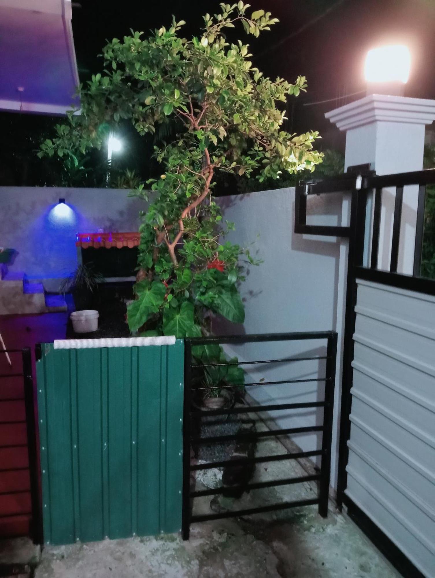 Great Yeheni Villa 히카두와 외부 사진